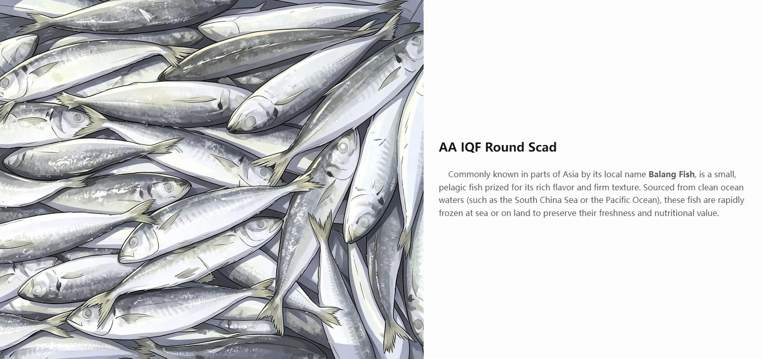 AA IQF Round Scad AA IQF Round Scad