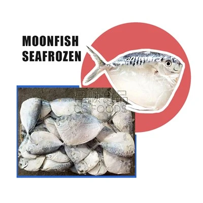 Bulk sjøfrossen månefisk